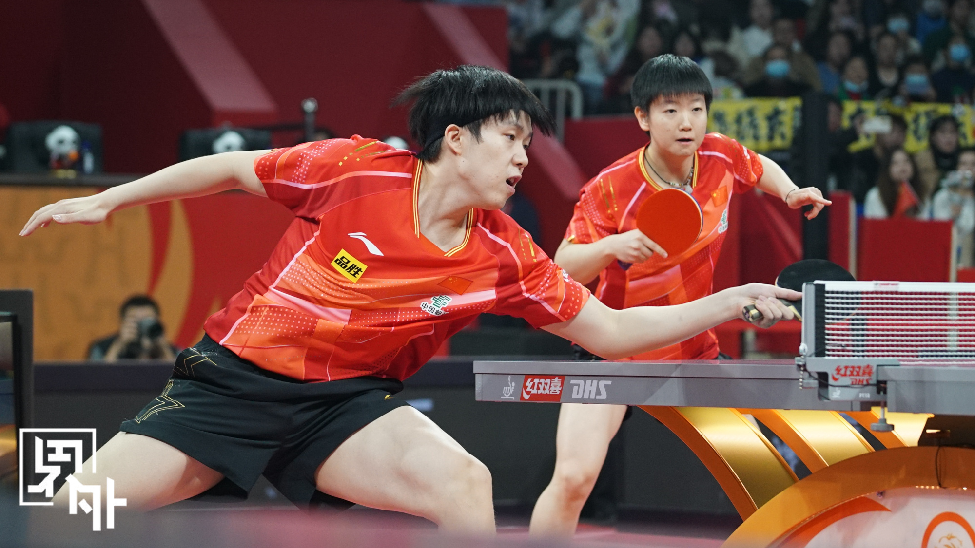 奥地利队轻取韩国队，马龙状态火热