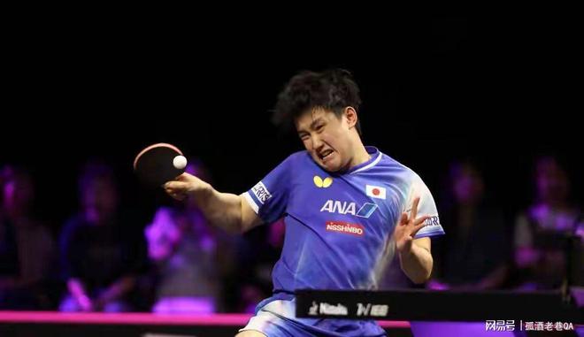 波兰队横扫瑞典队，张本智和刷新纪录